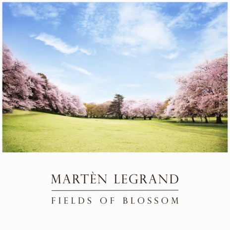 Fields Of Blossom | Boomplay Music