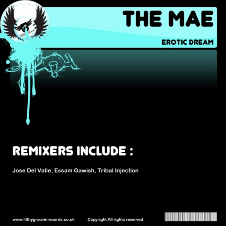 Erotic Dream (Tribal Injection Summer Dub Remix) | Boomplay Music