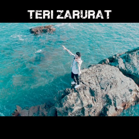 Teri Zarurat | Boomplay Music