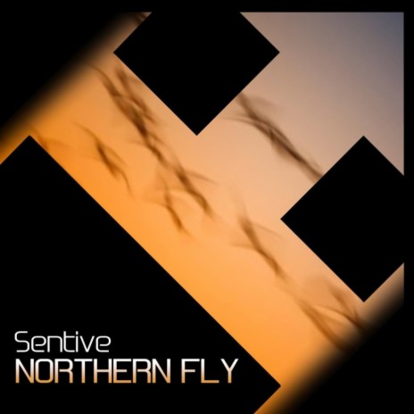 Northern Fly (Submod Remix) | Boomplay Music