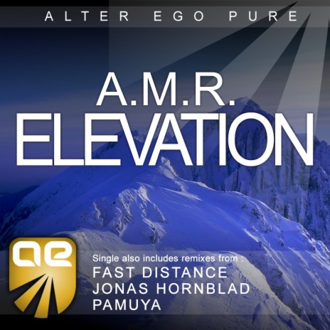 Elevation (Fast Distance Remix)