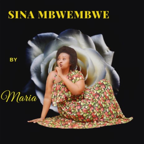 Sina Mbwembwe