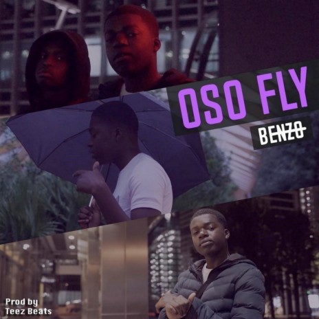 Oso Fly (Master) | Boomplay Music