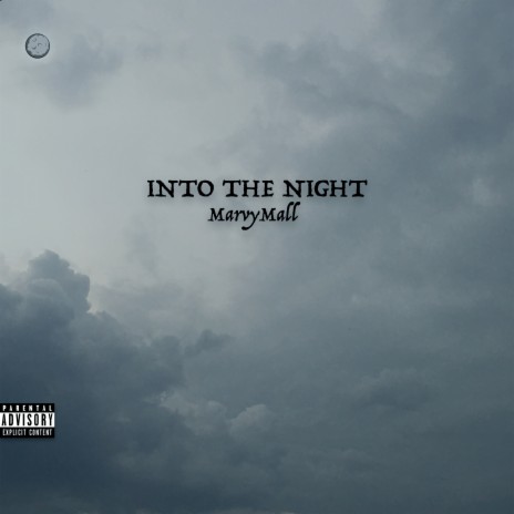 Into the Night | Boomplay Music