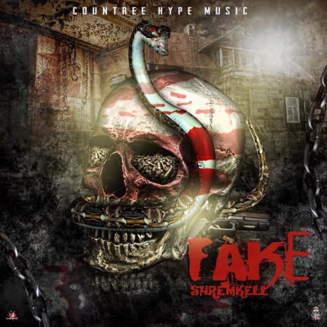 Fake ft. Countree Hype | Boomplay Music