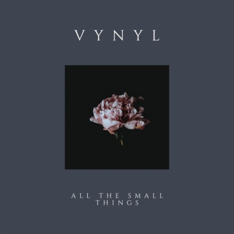 All the Small Things | Boomplay Music