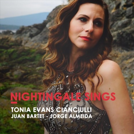 Nightingale Sings (feat. Juan Bartet & Jorge Almeida) | Boomplay Music