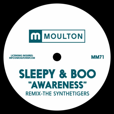 Awareness (The SyntheTigers Remix) | Boomplay Music