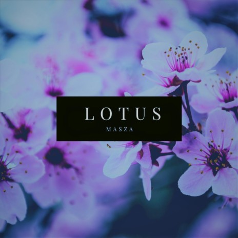 Lotus | Boomplay Music