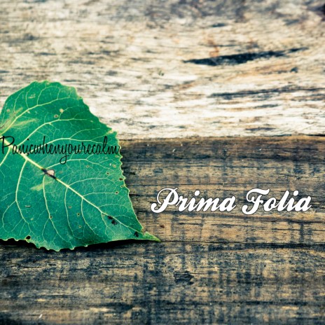 Prima Folia | Boomplay Music