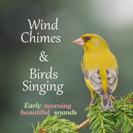 Wind Chimes & Birds Singing Early Morning Beautiful Sounds | Boomplay Music