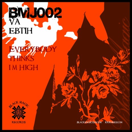 Everybody Thinks I'm High (Phonomental Mix) ft. Liquid Method | Boomplay Music