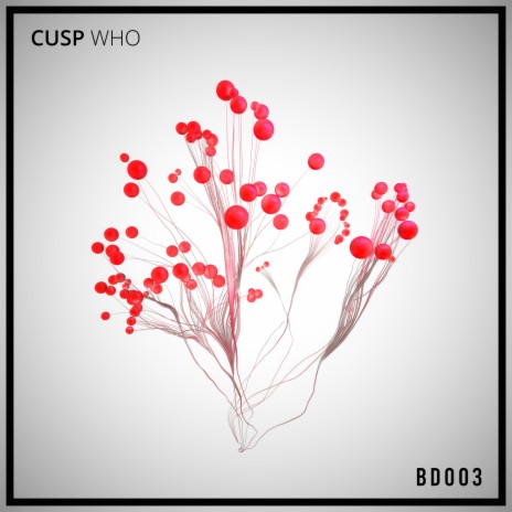 Who | Boomplay Music