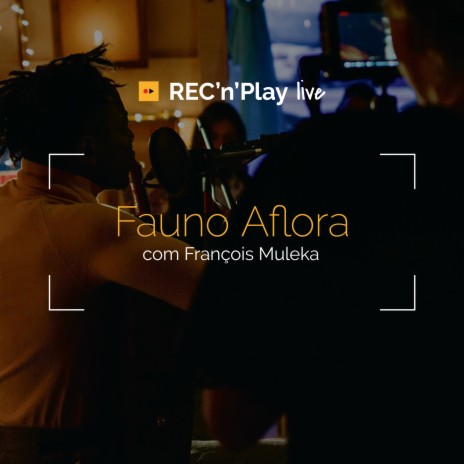 Tapete Azul (Acústico) ft. REC'n'Play & Alegre Corrêa | Boomplay Music