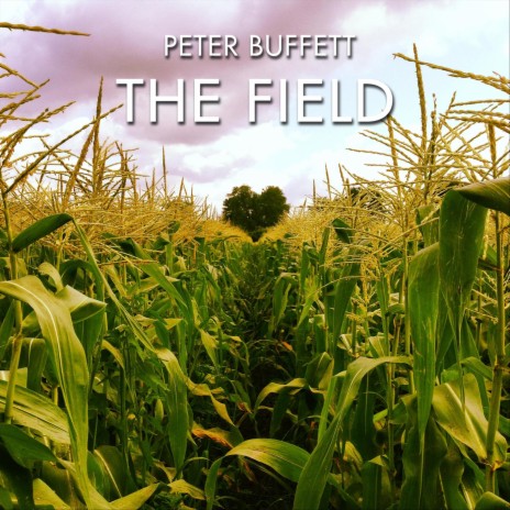 The Field | Boomplay Music