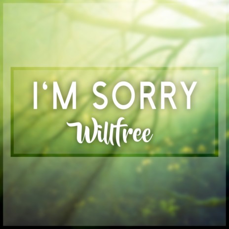 I'm Sorry | Boomplay Music