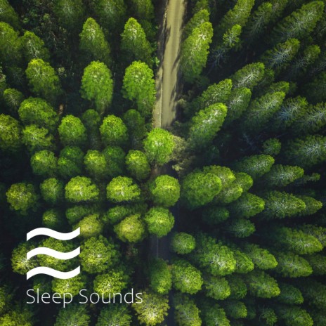 Shushing and Relief Sleep Noise