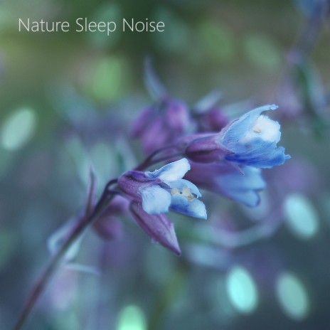 Nature Rain and White Noise (Deep Sleep Rain Noise Sound)