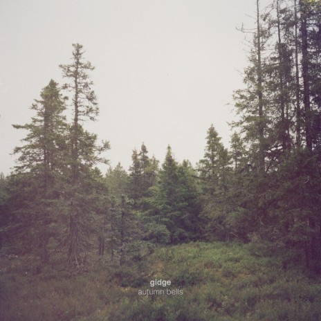 Norrland | Boomplay Music