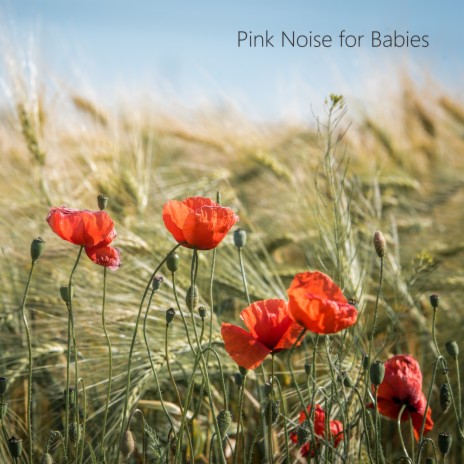 Pink Noise Sleep Audio (Free Noise Looped) ft. Sleeping Pink Noise