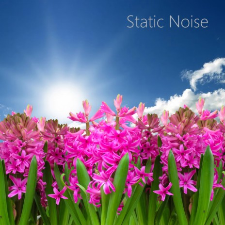 Looped Static TV Noise (White Noise No Fade) ft. White Noise Sleep