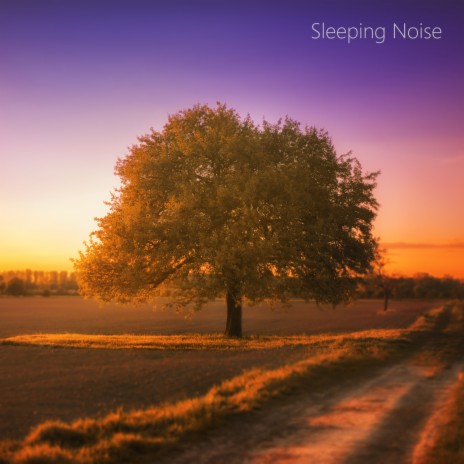 Looped White Noise Sleeping Sounds (Loopable White Noise Relax) ft. White Noise Looped