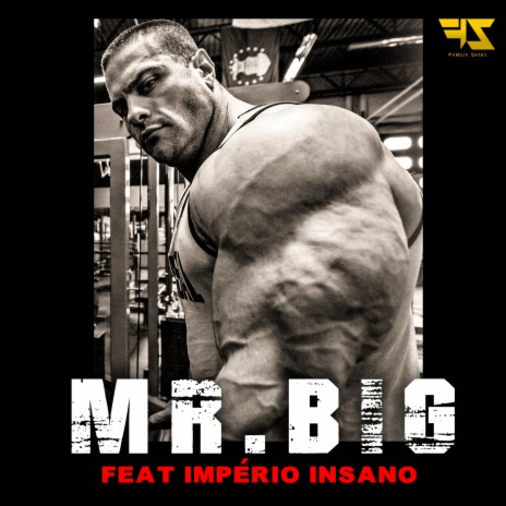 Mr. Big ft. Império Insano | Boomplay Music