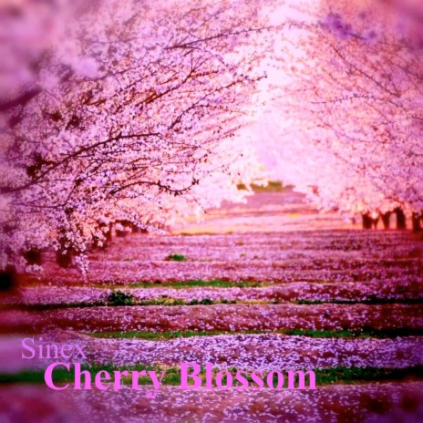 Cherry Blossom | Boomplay Music