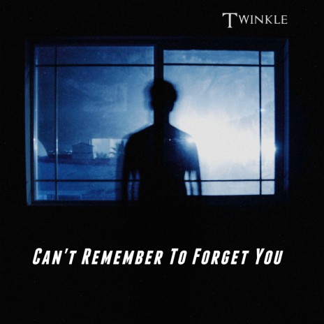 Can't Remember To Forget You | Boomplay Music