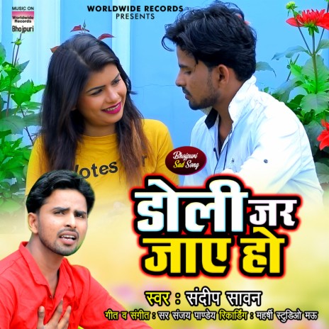 Doli Jar Jaye Ho | Boomplay Music