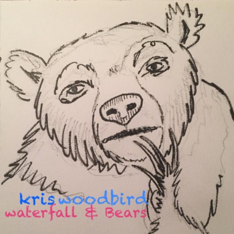 Waterfall & Bears | Boomplay Music