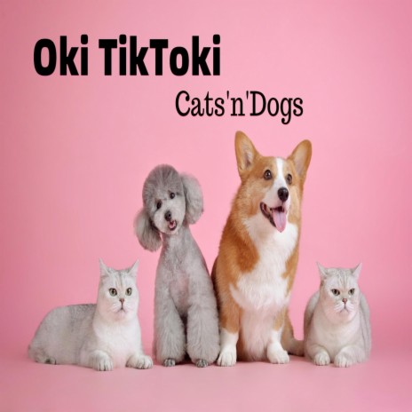 Cats'n'dogs