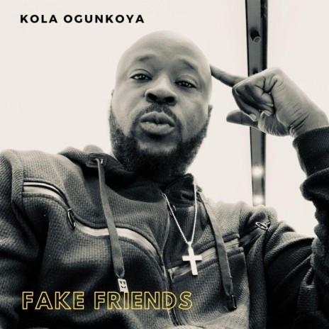 Fake Friends | Boomplay Music