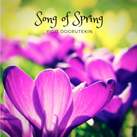 Song of Spring | Boomplay Music