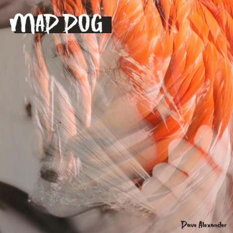 Mad Dog | Boomplay Music