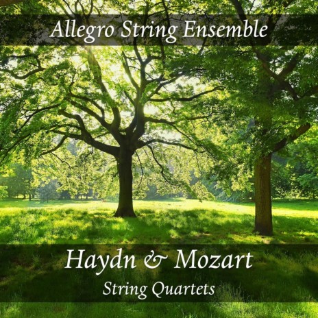 String Quartet No. 14 in G Major, K. 387, Op. 10 No. 1: III. Andante cantabile | Boomplay Music