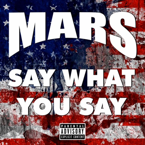 Say What You Say | Boomplay Music