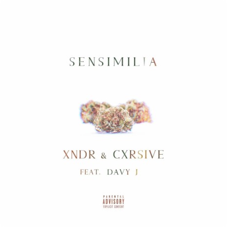 Sensimilia (feat. Davy J) | Boomplay Music