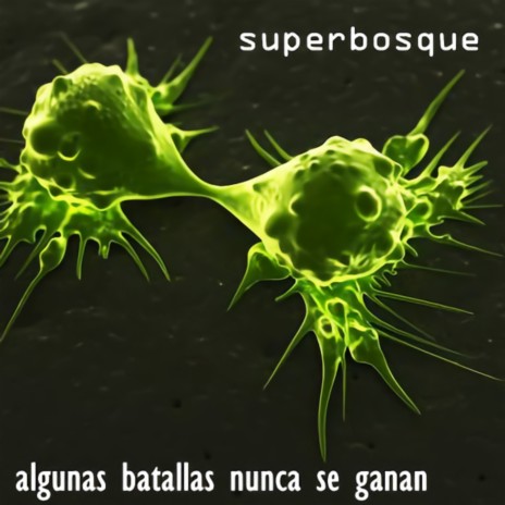 Algunas Batallas Nunca Se Ganan | Boomplay Music