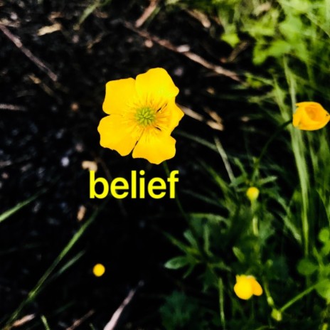 Belief | Boomplay Music