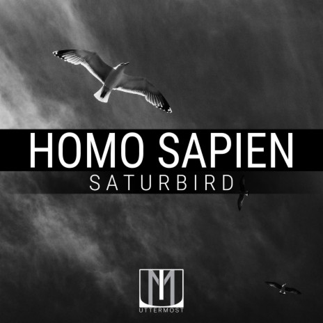 Saturbird (Original Mix)