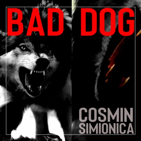 Bad Dog (Original Mix)