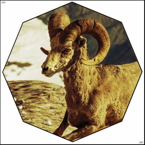 6ix Rams In Golden (Original Mix)
