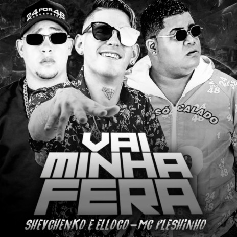 Vai Minha Fera ft. MC Fleshinho | Boomplay Music