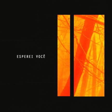 Esperei Você | Boomplay Music