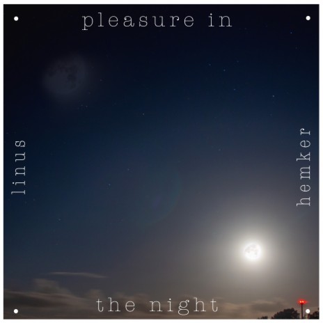 Pleasure in the Night | Boomplay Music