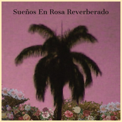 Sueños en Rosa Reverberado | Boomplay Music