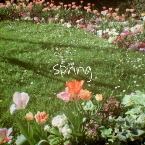 Spring | Boomplay Music