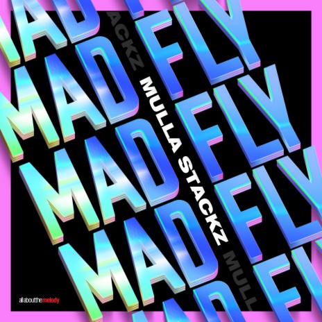 Mad Fly | Boomplay Music