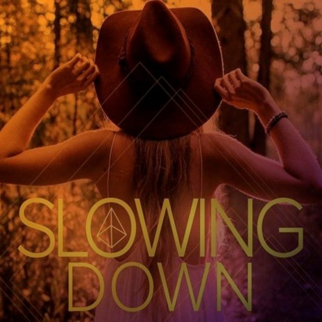 Slowing Down | Boomplay Music